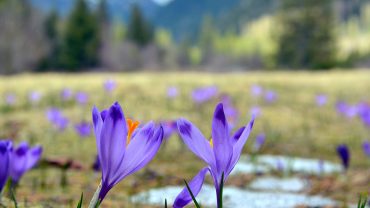 Zimowe Spacerowe Perły Tatr: 5 Pieszych Wycieczek Dla Rodzin