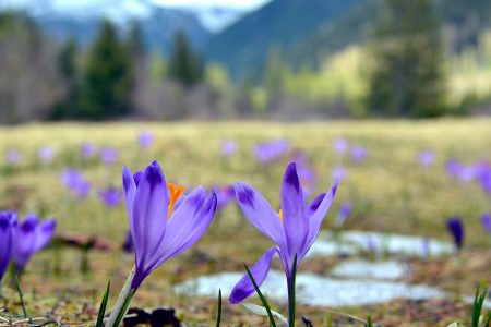 Zimowe Spacerowe Perły Tatr: 5 Pieszych Wycieczek Dla Rodzin