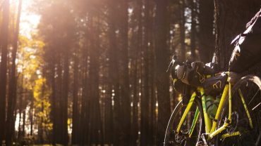 Rowerem przez Polskę: Szlaki Przygód w Malowniczych Krainach