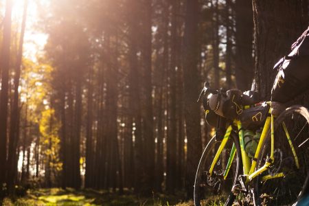 Rowerem przez Polskę: Szlaki Przygód w Malowniczych Krainach